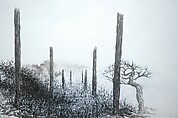 In the Sky, Qiu Anxiong (Chinese, born 1972), Single-channel animated video with sound; 8 min. 17 sec., China